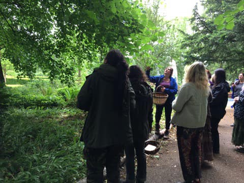 Herbal Medicine Walk - Danielle Kay Herbal Medicine Walk - Danielle Kay