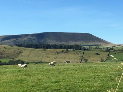 Pendle from Stang Top  © Anne Spencer