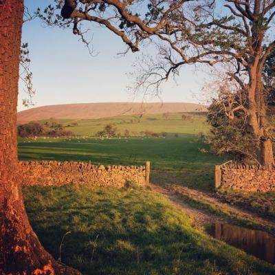 Pendle Sunset  © Claire Carter 