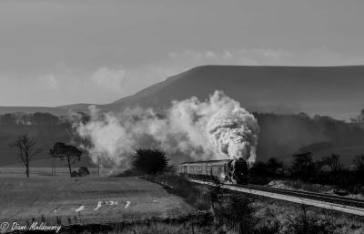 Flying Scotsman with Pendle Hill in the backdrop 4th Dec 2019 © Diane Muldowney 